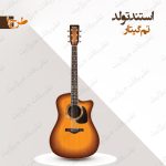 استند تولد تم گیتار طرح 1